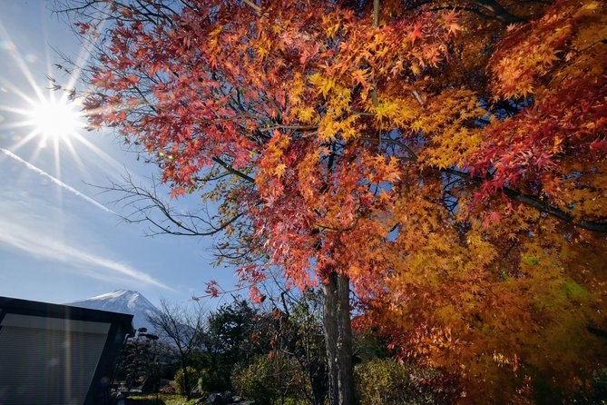 Mt. Fuji & Hakone Day Tour From Tokyo by Car With JP Local Guide - Health and Safety Considerations