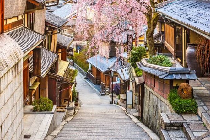 Private Kyoto Tour With Hotel Pickup and Drop off From Osaka - Cancellation and Accessibility Policies