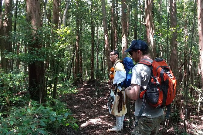 Private Spiritual Hike in Hidakamura With Mountain Monk - Transportation to Hidakamura