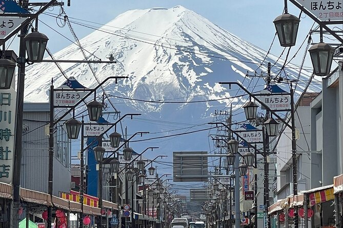 View of Mt. Fuji, Chureito Pagoda and Hakone Cruise Day Trip - Important Notes