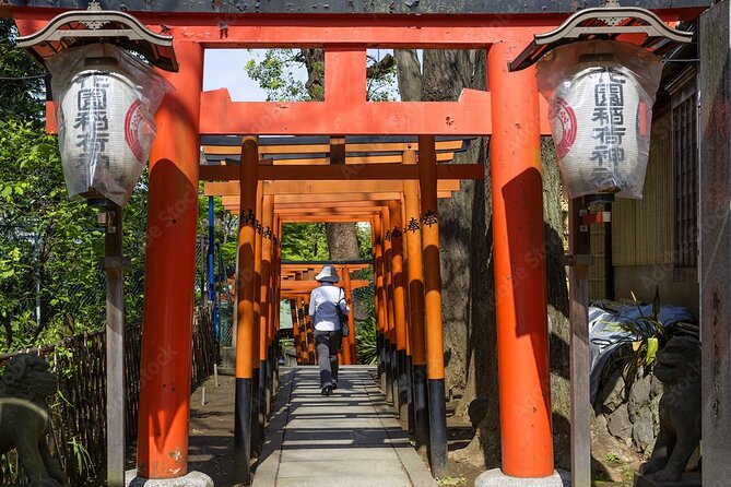 Cook an Okonomiyaki at Restaurant & Walking Tour in Ueno - Accessibility Options