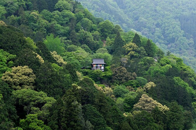 Explore Arashiyama Bamboo Forest With Authentic Zen Experience - Tips for an Enjoyable Visit