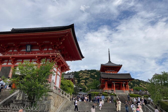 Kyoto Private Magical Tour With a Local Guide - Customer Reviews and Ratings