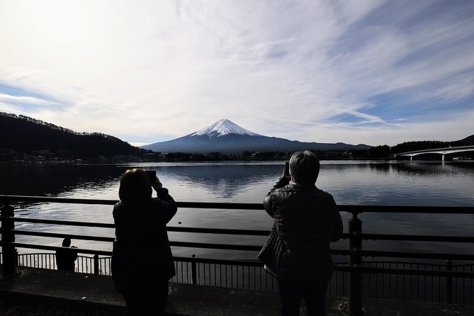 Mt. Fuji & Hakone Day Tour From Tokyo by Car With JP Local Guide - Customer Reviews and Experiences