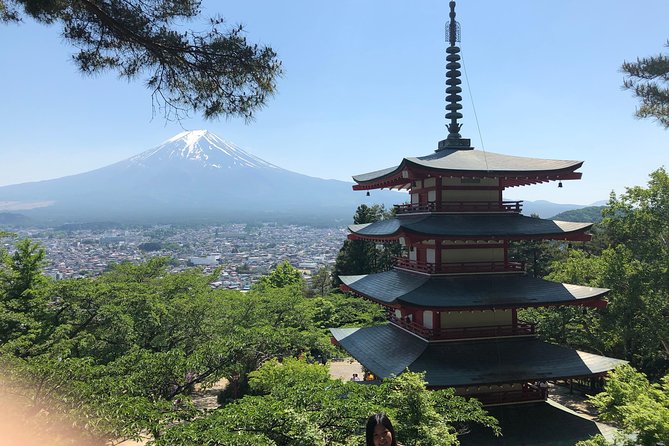 Mt.Fuji & Hakone Tour, From/To Tokyo, Yokohama, Odawara, up to 12 - Cancellation Policy