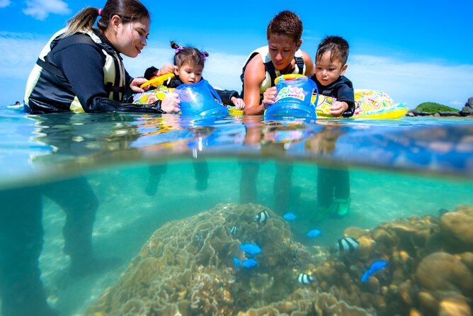 OK From 2 Years Old! / Sea Picnic & Snorkel - Directions to Meeting Point