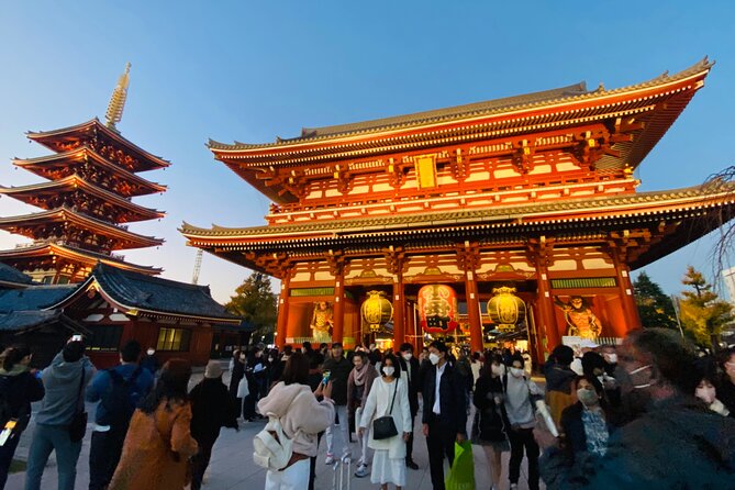 Tokyo Private Custom Day Tour With English Speaking Chauffeur - Tips for Your Tour