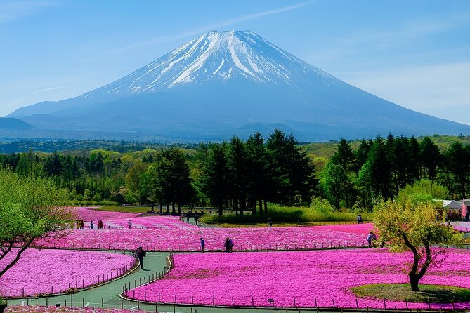 View of Mt. Fuji, Chureito Pagoda and Hakone Cruise Day Trip - Additional Information