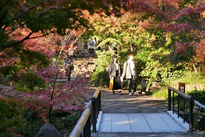 Autumn Leaves Private Tour in Nagoya - Tips for a Great Experience