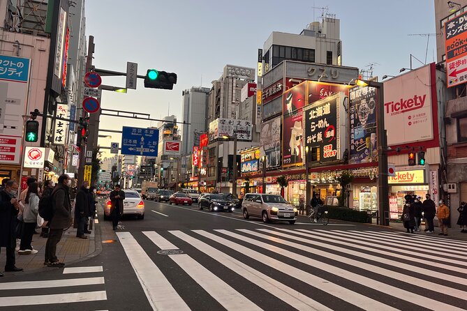 Private Half-Day Tour Colorful and Busy Street in Central Tokyo - Tips for a Great Experience