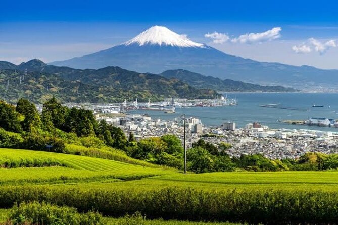 MT Fuji and Hakone Private Group Tour (Upto 9 Persons) by Hiace - Itinerary Highlights