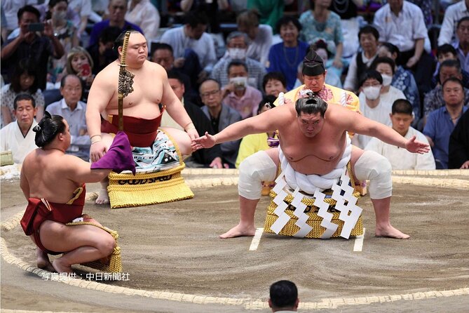 Nagoya Grand Sumo Watching Tour With Lunch(Chair a or Box B Seat) - Key Points