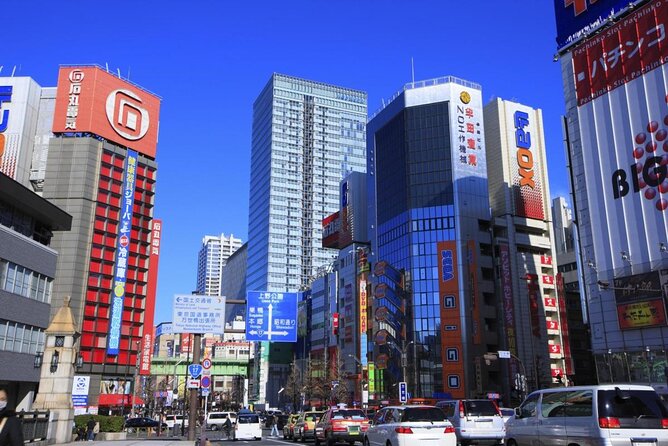 Private Half-Day Tour Colorful and Busy Street in Central Tokyo - Key Points