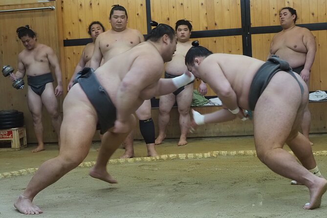 Sumo Morning Training Watch in Osaka - Key Points