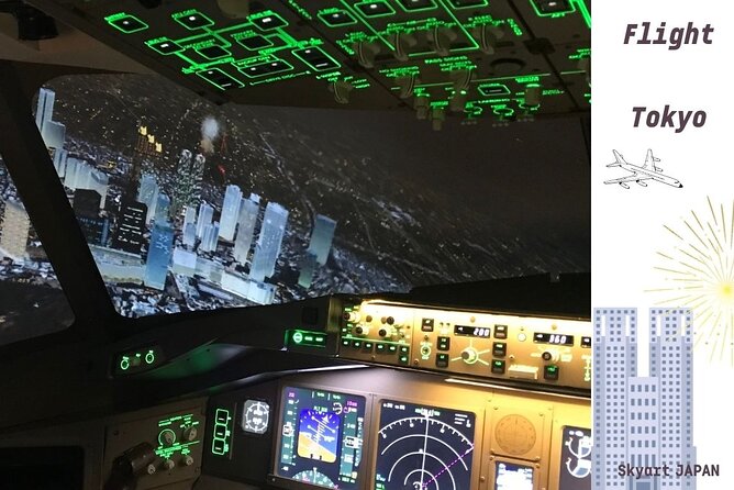 70 Minutes of Flight Simulation Experience in a Real Cockpit! a Must-See for Airplane Lovers