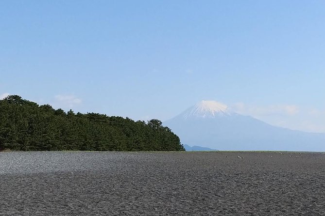 Mt.Fuji Chartered Taxi Tour