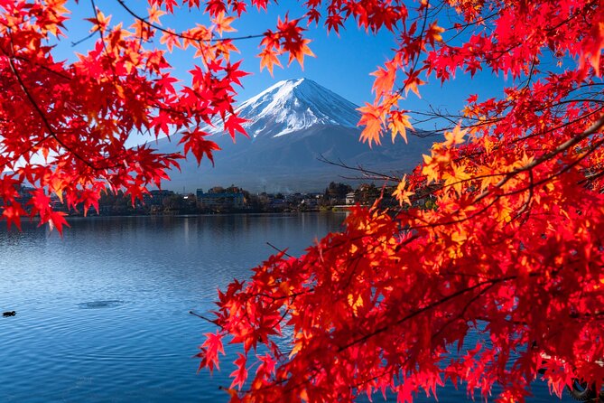 Mt. Fuji Flower Festival Tour With Ropeway Experience From Tokyo