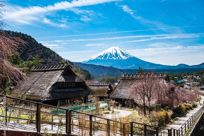 MT Fuji Sightseeing Customized Private Day Tour Up-to 9 Persons