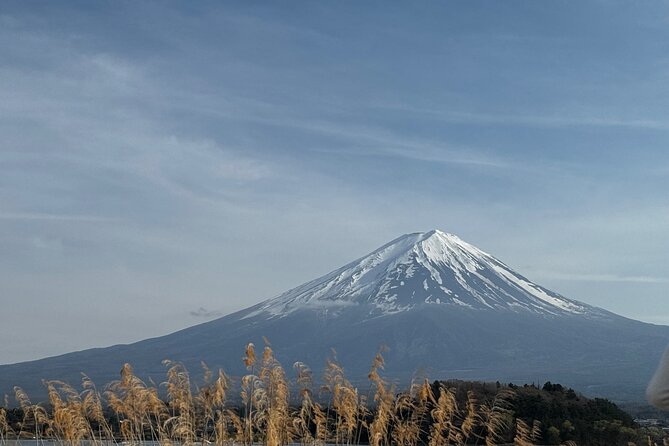 One Day Mountain Fuji & Hakone Tour With English Hindi Bilingual