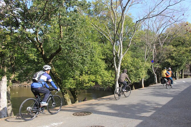 Private Bike Tour in Nara With Japanese Guide