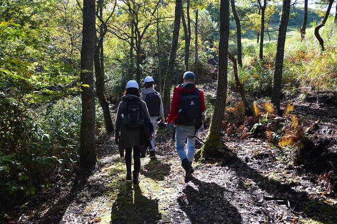 Rural Forestry Tour in Aso Minamioguni