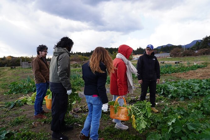 3 Hours Vegetables Harvest Activity Nearby Tokyo - Whats Included in the Experience