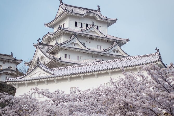 9-Day Japan and South Korea Highlight Tour - Inclusions and Accommodations