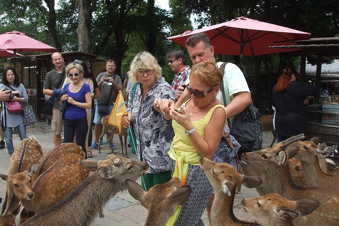 Exploring Nara - UNESCO World Heritage Sites