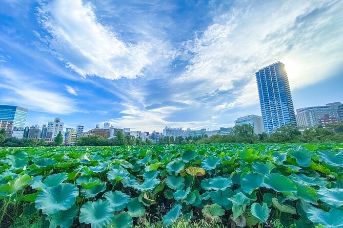 From History to Subculture: Akihabara & Ueno Must-See Tour! - Exploring Ueno Park