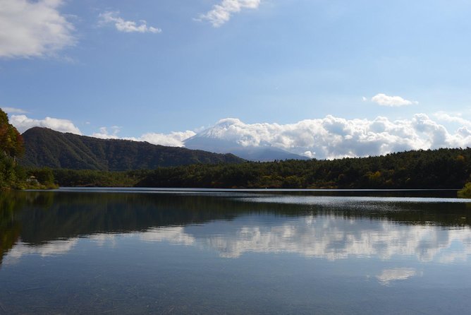 Fuji Kawaguchiko Hakone Private Car Tour - Inclusions and Amenities