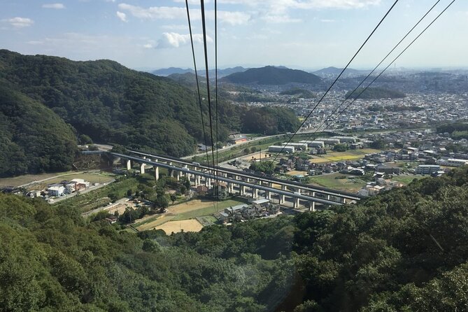 Full-Day Private Guided Tour to Himeji Castle - Itinerary Highlights