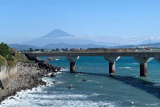 Guided Hybrid Bike Tour in Shizuoka City (Note: Not E-Bikes) - Whats Included in the Package