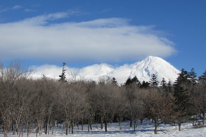 Half-Day Primeval Forest Snowshoe and Wildlife Watching Tour - Location and Meeting Point