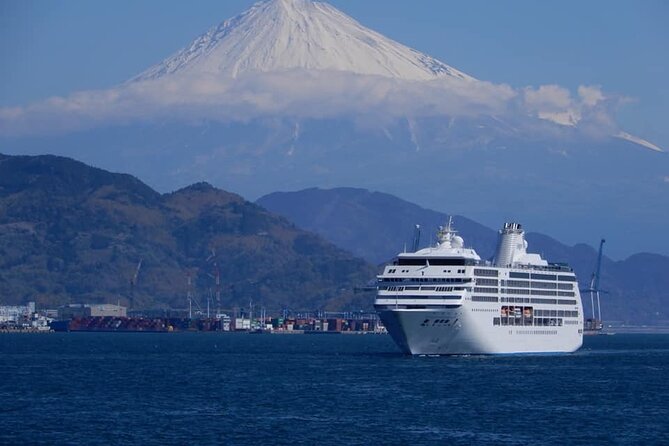 Half Day Private Sightseeing Tour Around Shimizu Port - Highlights of the Experience