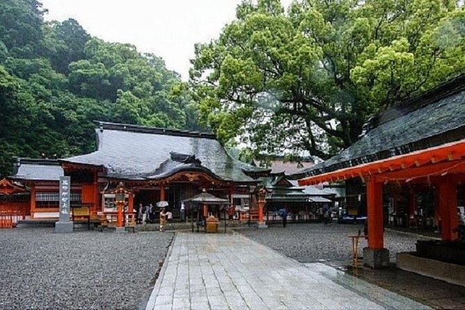 Kumano Kodo Half Day Daimonzaka and Nachi Taisha Tour - Itinerary Highlights