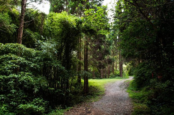 Miyazaki Valley Waterfall Hike - Meeting Point and Schedule