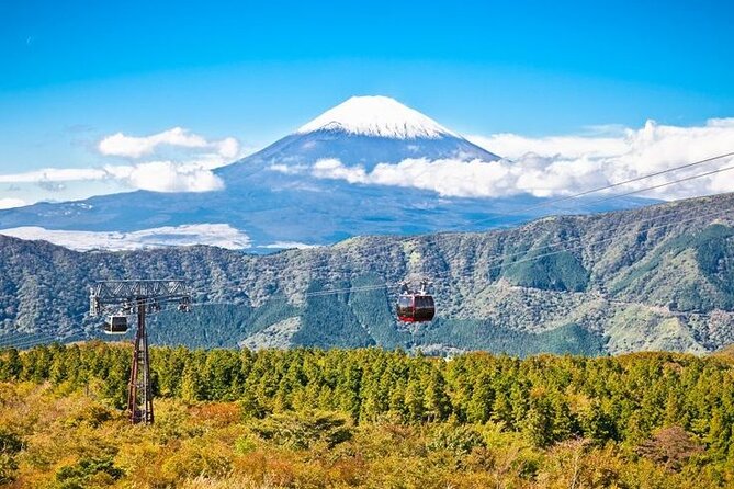 Mt. Fuji and Hakone Full Day Tour With English Speaking Driver - Itinerary Highlights