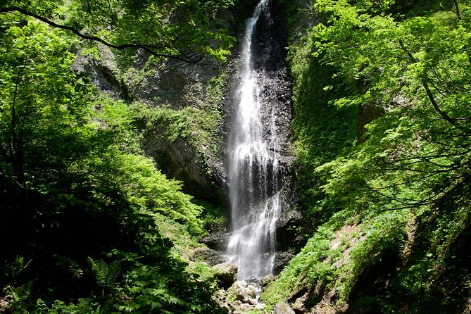 Nature Tour Around Waterfalls That Exudes From the Beech Forest Nishiwaga Town, Iwate Prefecture - What to Expect During the Tour