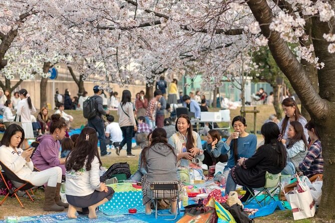 Osaka Cherry Blossom Tour With a Local: 100% Personalized Private - Highlights of the Experience