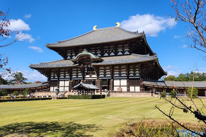 Osaka Dep, Nara Small Group Full Day Tour - Meeting Point Details