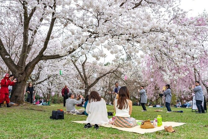 Private and Unique Fukuoka Cherry Blossom Sakura Experience - Inclusions of the Tour