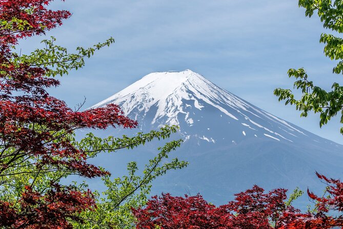 Private Mount Fuji and Hakone Tour With English Guide - Itinerary Highlights