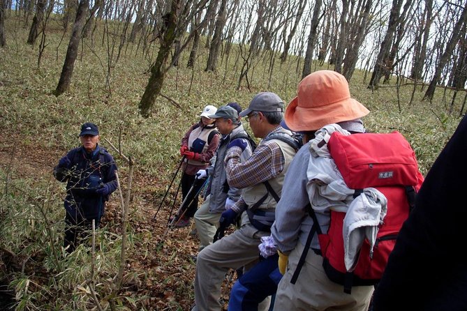 Relax and Refresh in Karuizawa Forest! Shinanoji Down Trekking Around Two People - Meeting and End Points