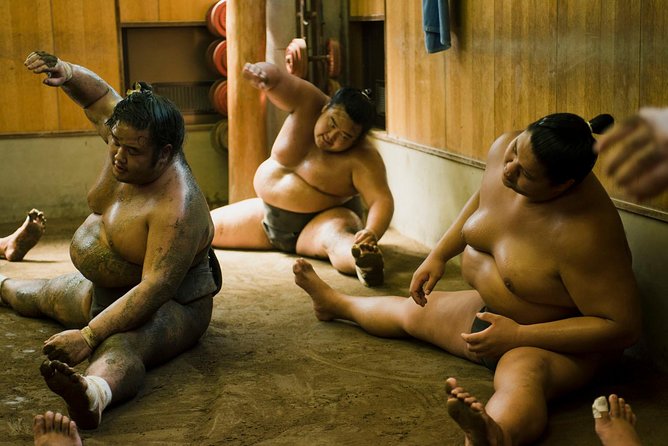 Sumo Training Session - Training Session Details