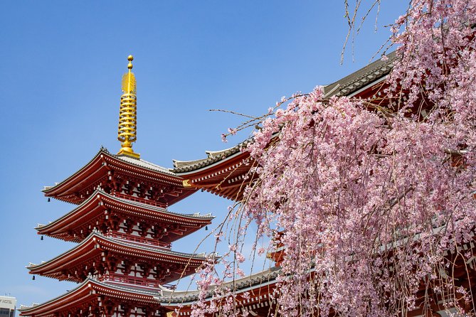 Tokyo Personalized Full-day Tour Led by a Local Expert - Tour Inclusions