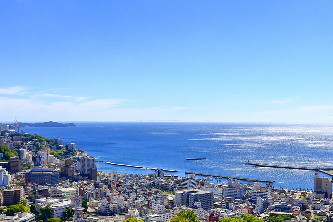 Atami Half-Day Private Tour With Government-Licensed Guide - Pickup and Transportation Details