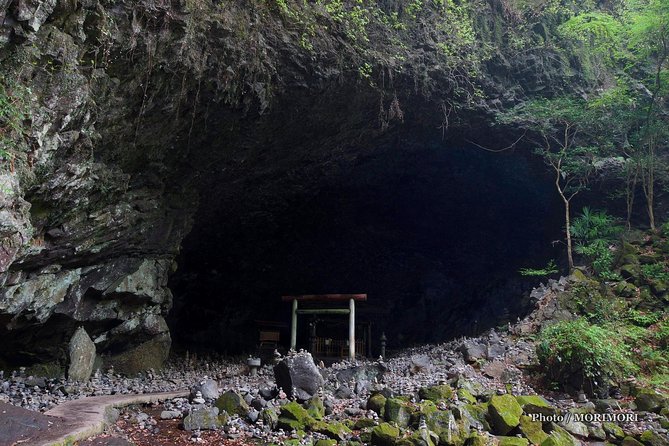 Day Trip Charter Bus Tour to Mythical Takachiho From Fukuoka - Included Amenities