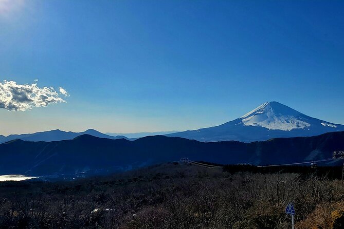 Full Day Hakone Private Tour With English Guide - Inclusions and Exclusions