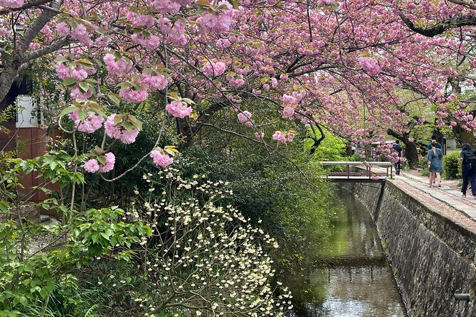 Kyoto Silver Pavilion Private 4-Hour Guided Tour - Accessibility and Requirements