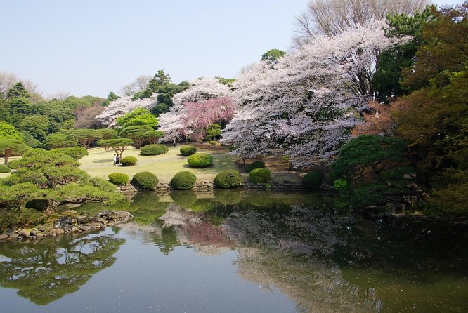 Licensed Guide Shinjuku Dramatic Tour Day Time (Tokyo) - Tour Inclusions and Highlights